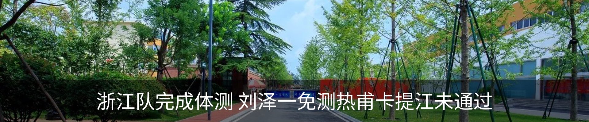 新闻动态